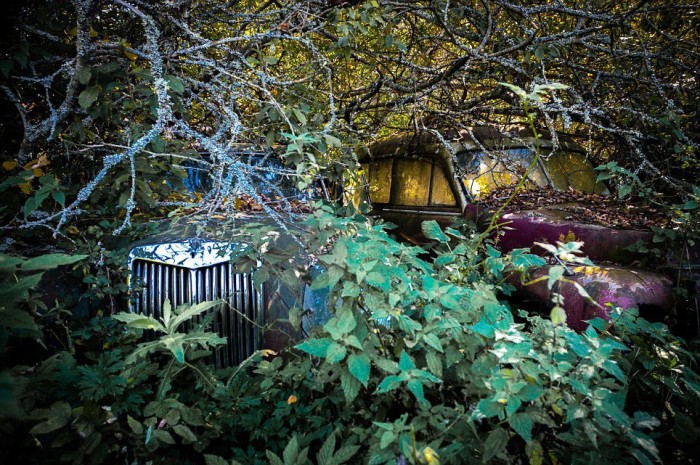 Ezer autó pihen a svéd temetőben 11 | Vezess Ezer autó pihen a svéd temetőben 11