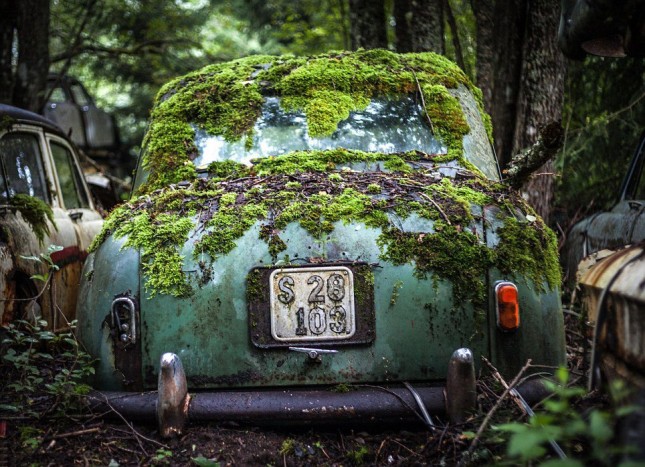 Ezer autó pihen a svéd temetőben 8 | Vezess Ezer autó pihen a svéd temetőben 8