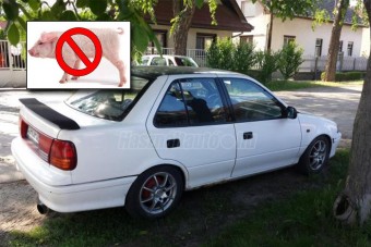 Egy Suzuki, ami szopós malacért nem eladó