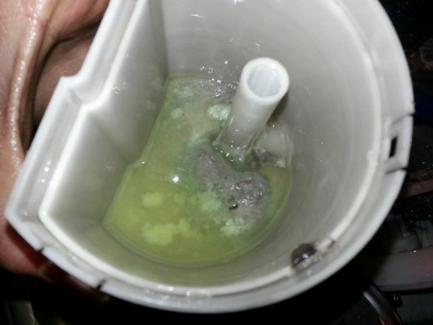 Jeget találtak egy magyar kocsi tankjában