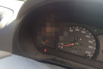 Ha rettegsz a pókoktól, ezt ne nézd meg!