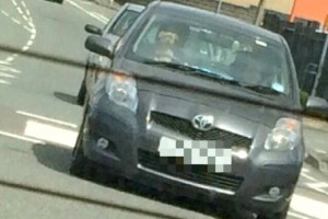 Kutya vezette az autót a városban. Ennyi.