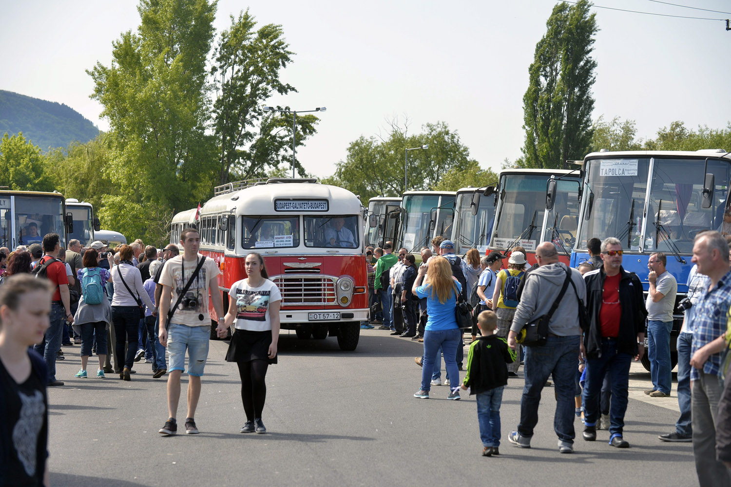 Ikarusok kalandoztak a Balatonnál – fotók 1