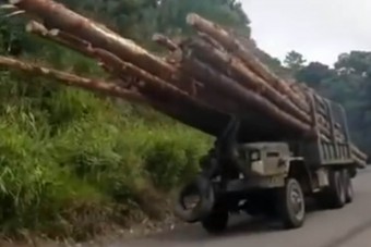 Amikor a vérbeli melós mondja: megoldjuk, főnök!