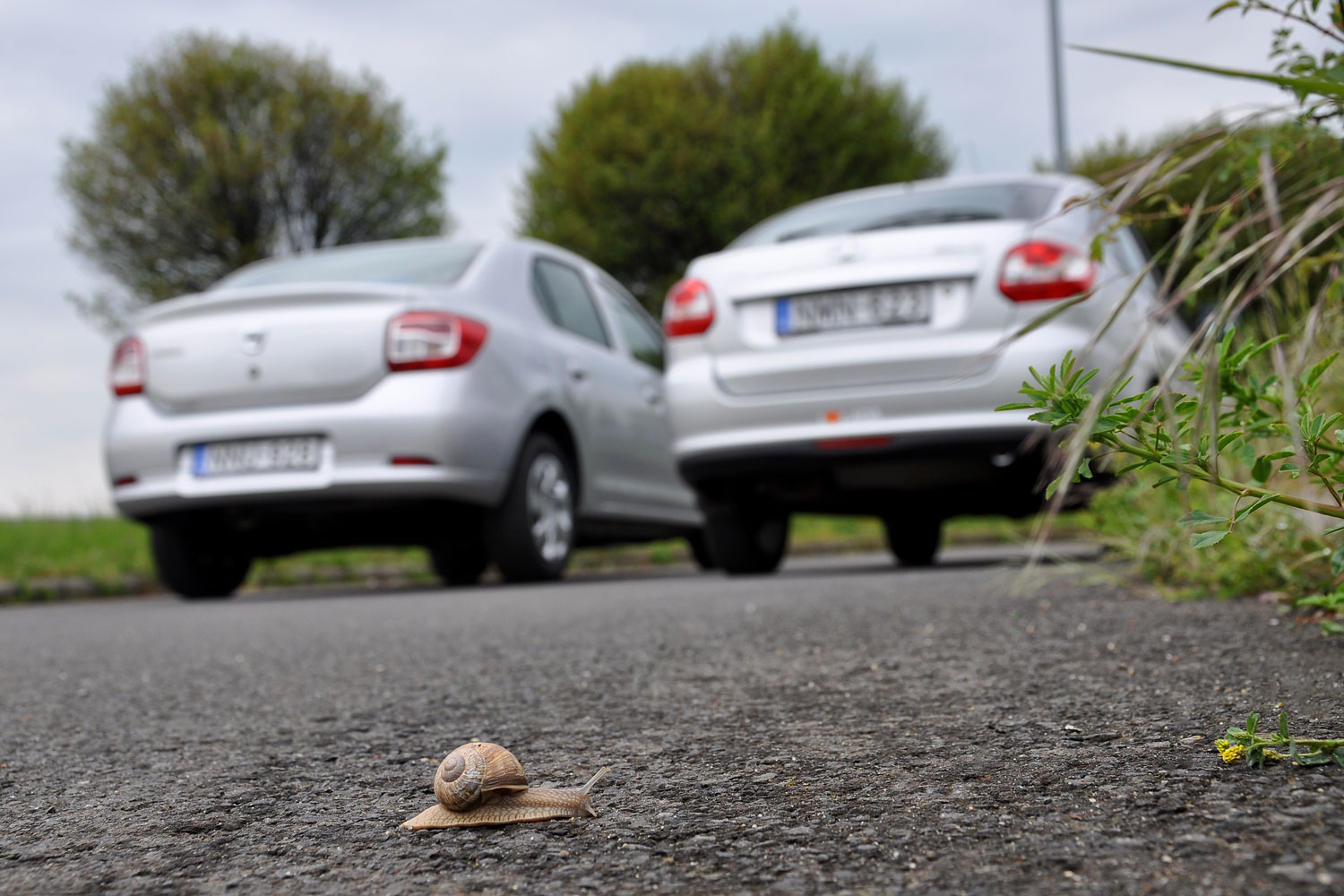 Teszt: Lada vagy Dacia? Melyik ér többet? 8