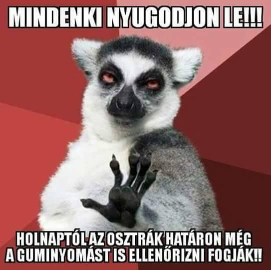 13436113_1366315133395093_1024920129_n