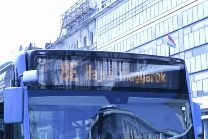 A magyar válogatottnak köszönhetjük a nap képét