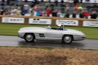 Goodwood: Angol bolondok  gyülekezete 401