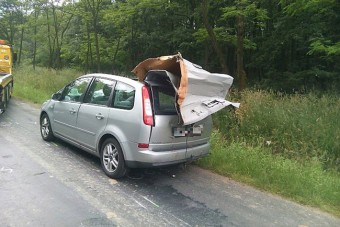 Meghalt az autós, aki elütött egy szarvast - fotók