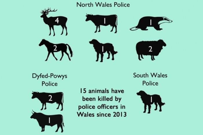 rendőrség állat megöl