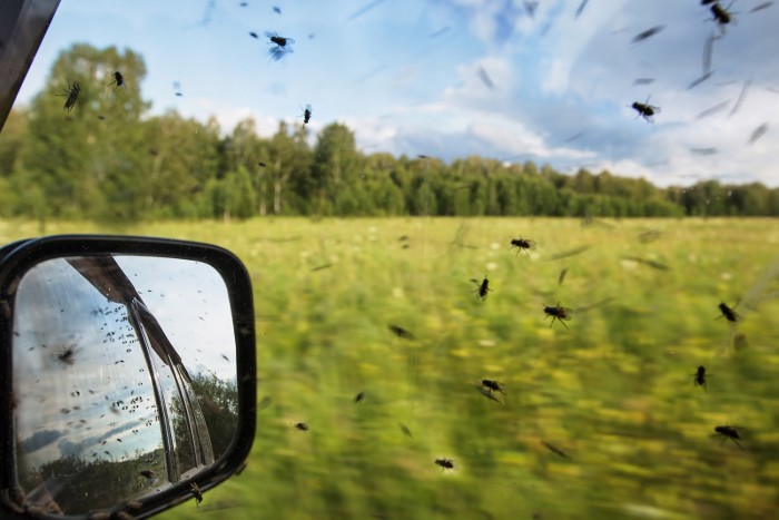 Top 10: A nyár veszélyei 12 | Vezess Image00026