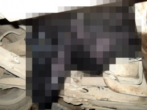 Elrettentő erejű fotó: cseppkő lett az olajból