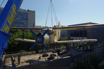 Eszméletlen fotók a ligetből: elszállítottak egy ikont