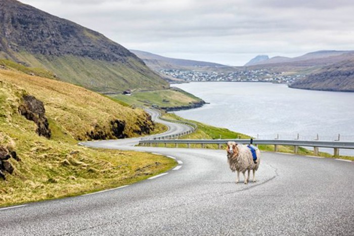 Öt birka nyomta le a Google-t