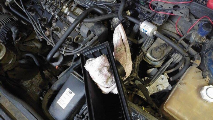 13423755_1195703793795396_4870678470236250290_n