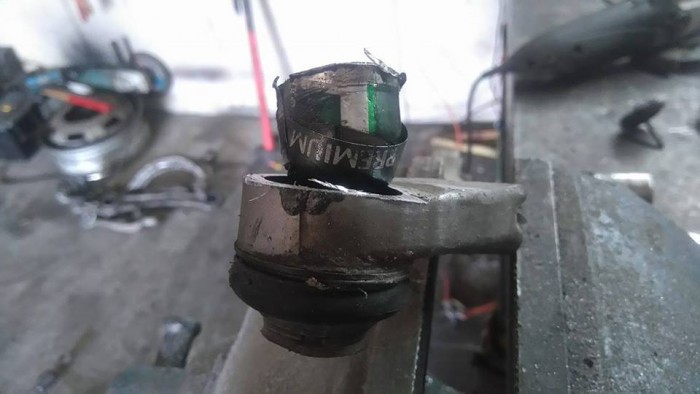 13435450_1197067270325715_314586328359081544_n