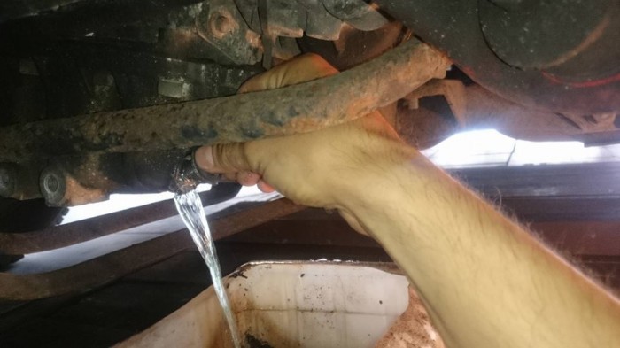 13557655_1206551892710586_5075805538941550237_n