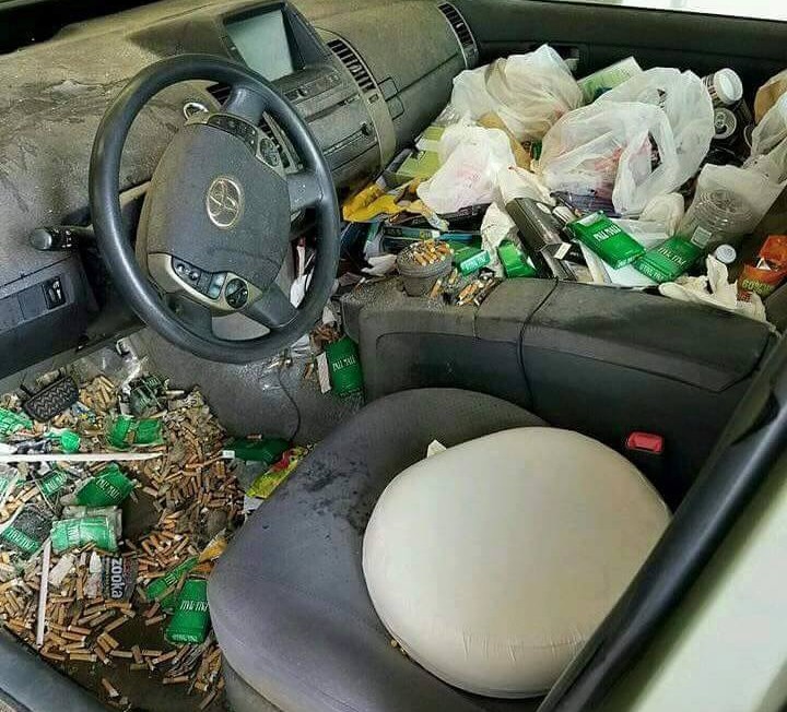 13592744_1209263019106140_7140034832331473412_n