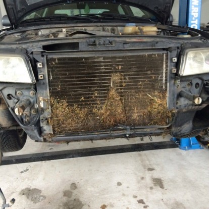 13692234_1391075250919081_607859801_o (1)