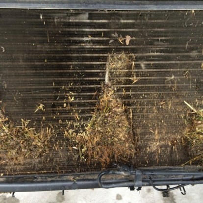 13709678_1391074770919129_64078845_o (1)