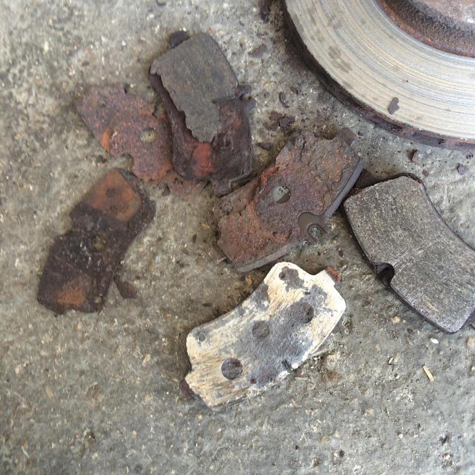 13817066_1394265300600076_173513207_n