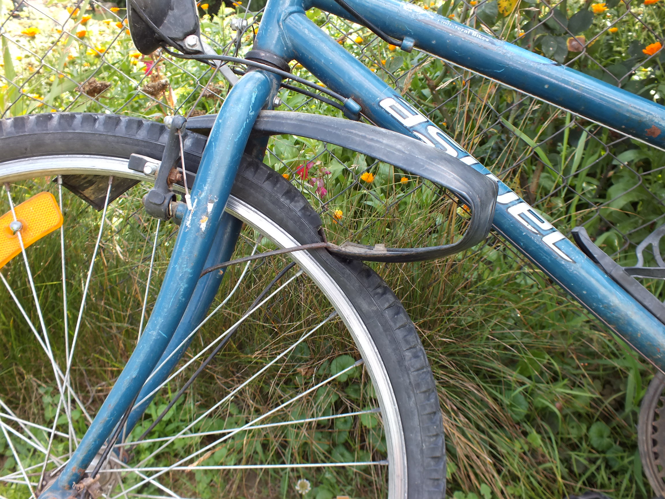 bic1 | Vezess | Vezess