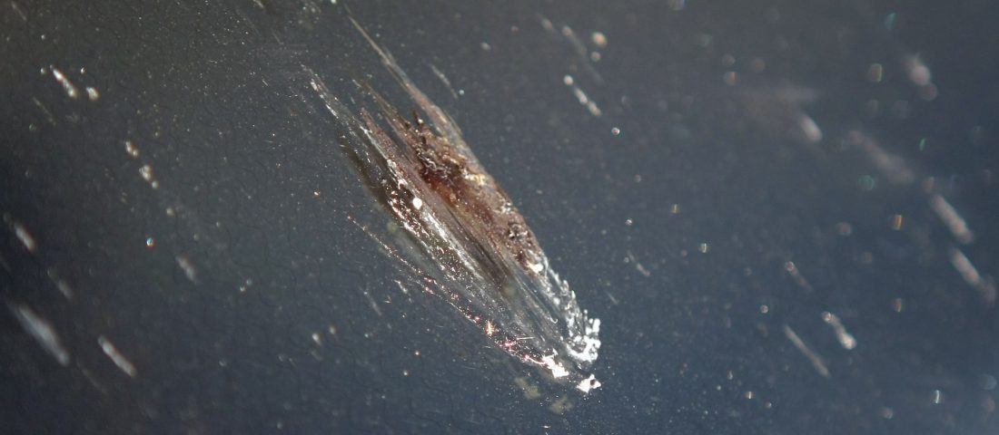 Bogároldás olcsón, hatékonyan