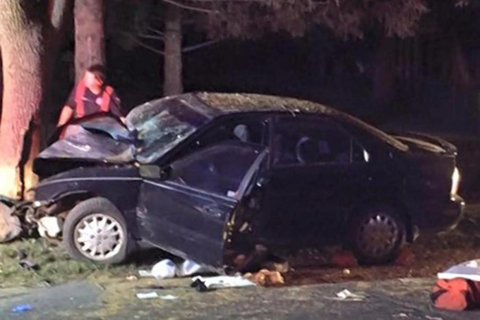 Vezetés közben Pokémonozott, rommá törte autóját