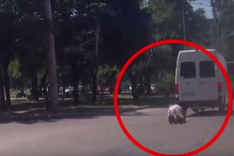 Videó bizonyítja, hogy a Terminátor létezik