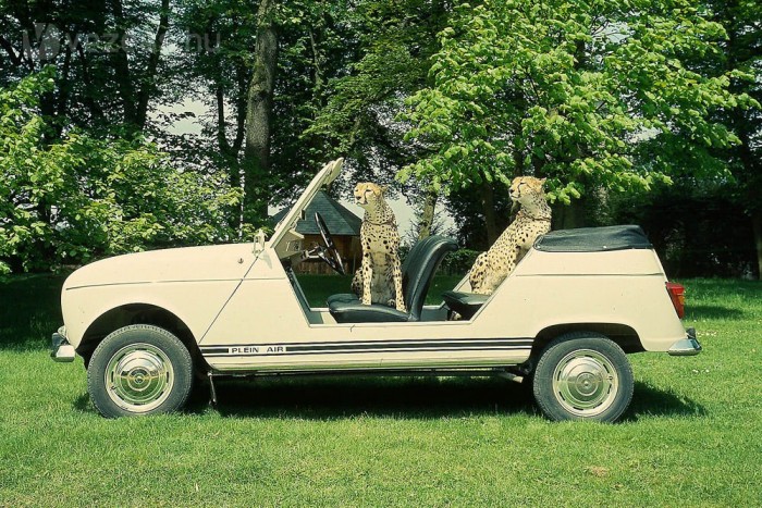 Az oldalt nyitott örömautó elemében van a plázsra vezető földutakon