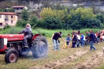 30 ember próbálja meg elhúzni a traktort