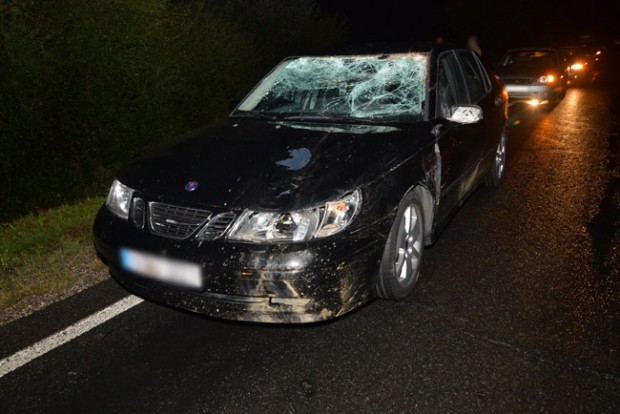 Kétszer gázolták el ugyanazt a szarvast a 8-ason