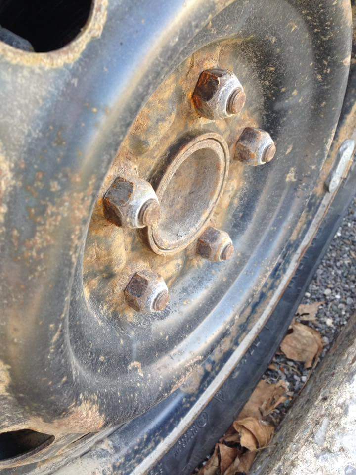 12935385_1163961570302910_1913091087_n