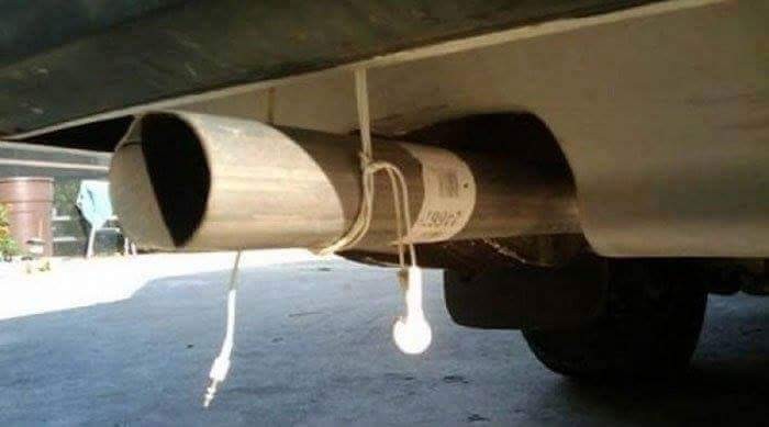 12939659_1171849679514099_795020026_n