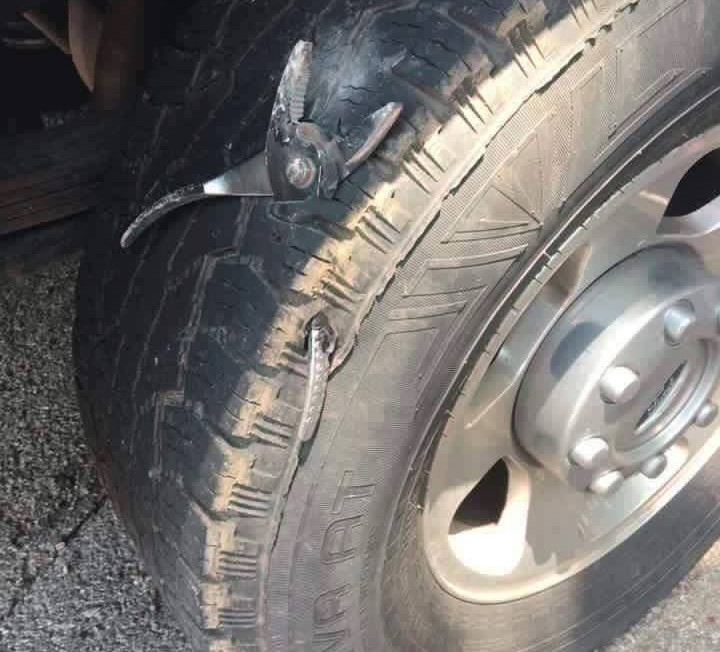 19 fotónyi házi kendács hoz garantált röhögést 3 13606987_1212235322142243_7914111626992751973_n