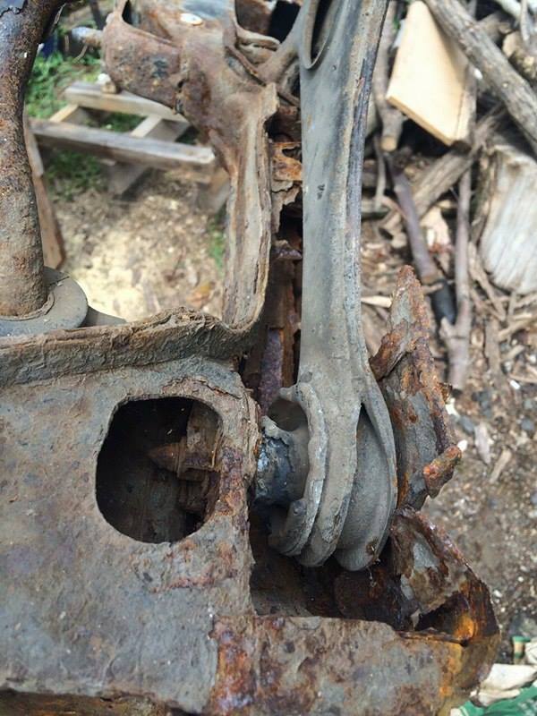 13866737_1403019413057998_818627409_n