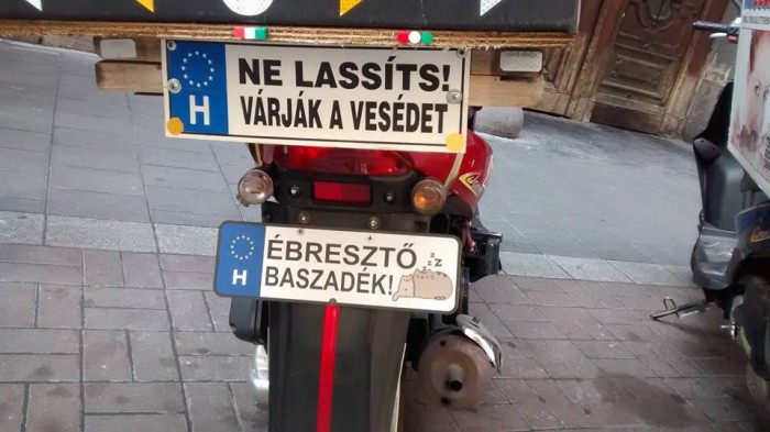 13934586_10210474355519318_3880422123110773928_n