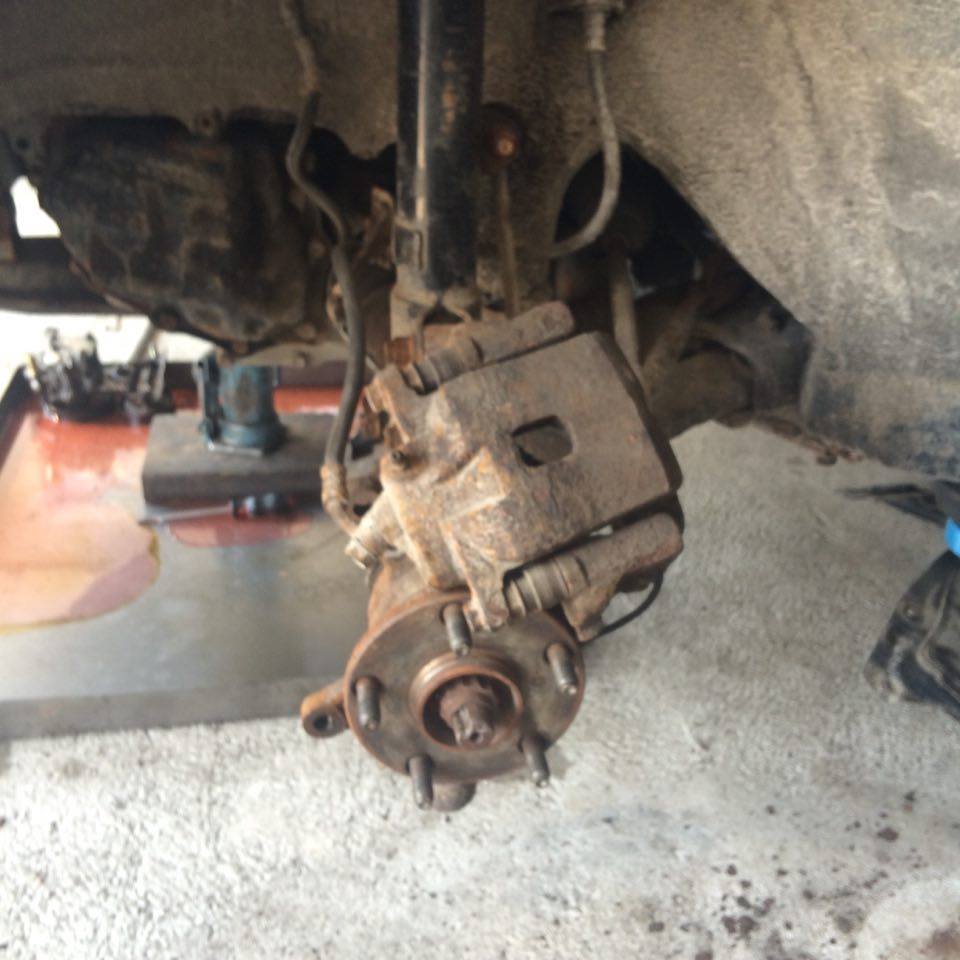 14017874_1186835414712813_104044679_n