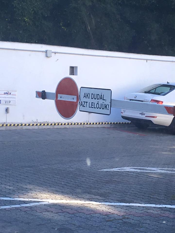 14021666_10208734169530225_103402074164072074_n