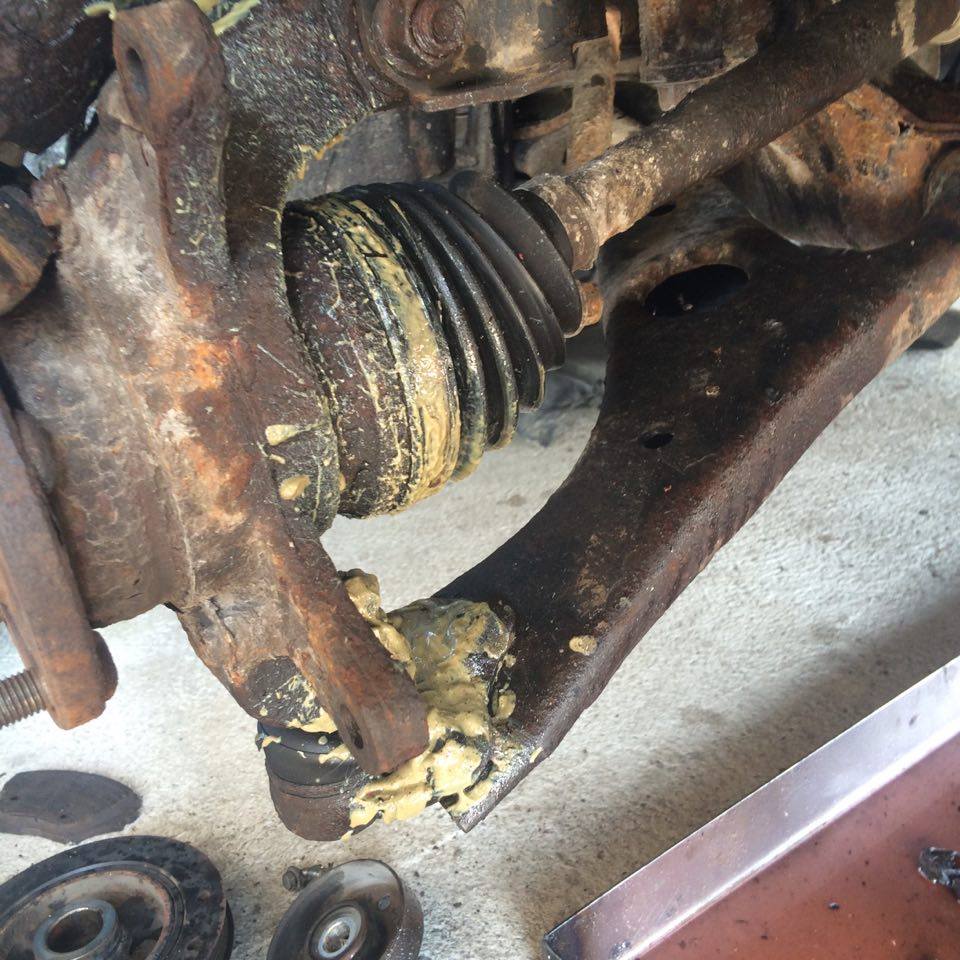 14081355_1186835364712818_777916890_n