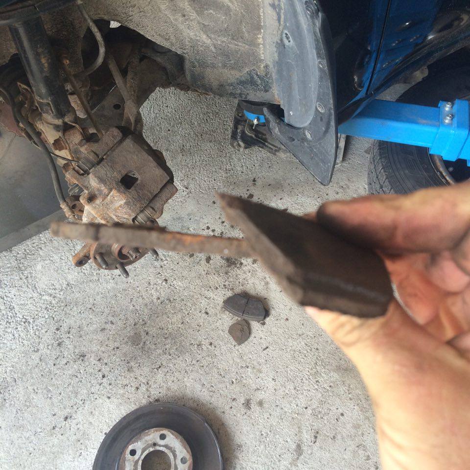 14089614_1186835484712806_1148363884_n