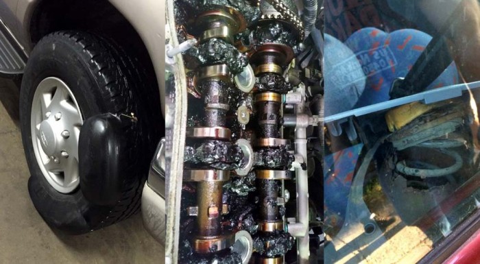 19 fotónyi házi kendács hoz garantált röhögést