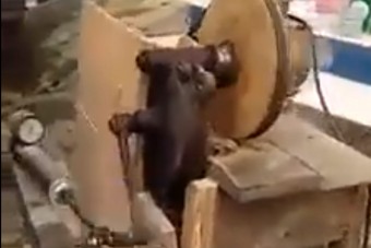 Elsőre nem is sejted, milyen zseniális gépet rántott össze ez a sufnimester