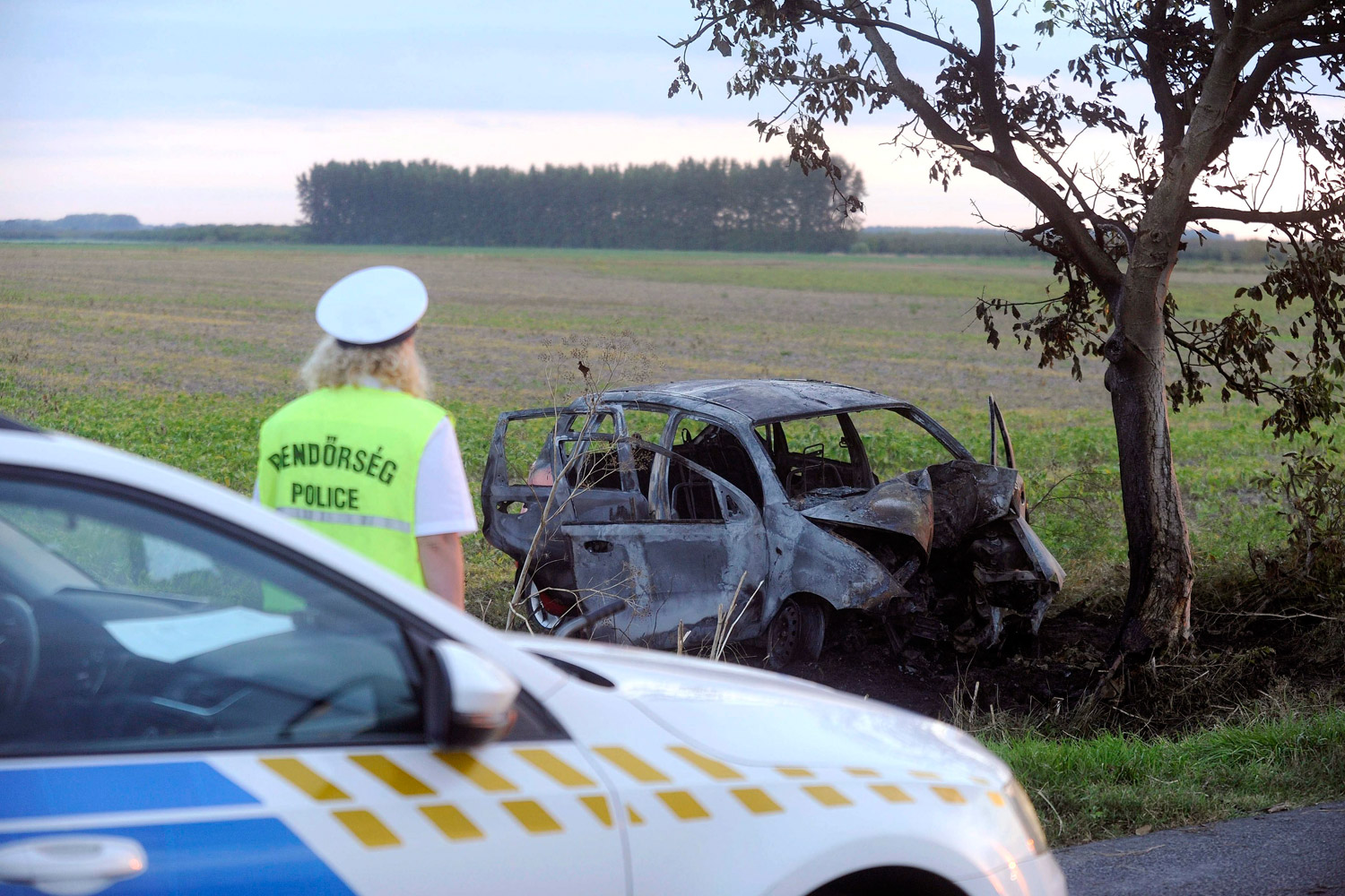 D__MI20160831001 | Vezess | Vezess