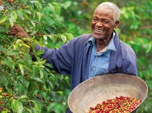Újabb eszközzel lehet fenntarthatóbb az autózás