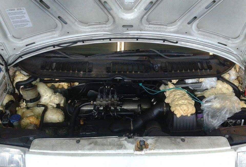 12923090_487116401473369_9046668265791751204_n