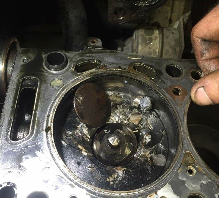 12941128_1165048980194169_1554333606_o