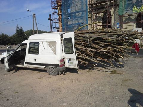 14202571_1263666166999158_4019354045681022448_n