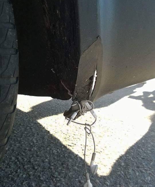 14302868_1445535245473081_1900876157_n