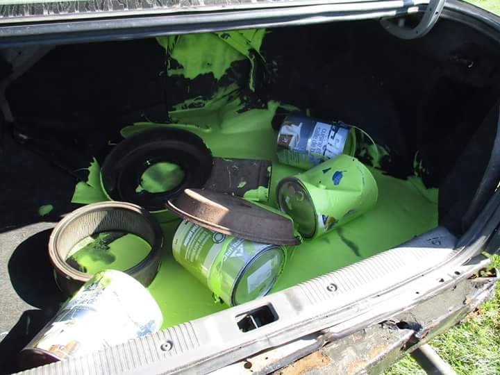 14328943_1445534465473159_1204851025_n